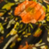 (Category: ) located in . Submitted by sue_khan_sg (Listing ID 1447495945, Image 1). Description: .