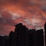(Category: ) located in . Submitted by umzmai (Listing ID 1341554689, Image 1). Description: .