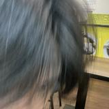 由 yiliver (刊登 ID 1381362802，圖片 1) 提交，位於 的 (類別：)，說明：。