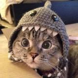 (Category: ) located in . Submitted by iluvmybehbeh (Listing ID 1374148002, Image 1). Description: .