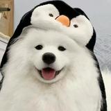 頭像