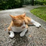 (Category: ) located in . Submitted by adrn8 (Listing ID 1343199275, Image 1). Description: .