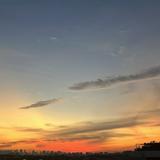 (Category: ) located in . Submitted by carvedwaves (Listing ID 1377079283, Image 1). Description: .