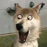 頭像