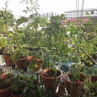 (Category: ) located in . Submitted by pnp03 (Listing ID 1379528446, Image 1). Description: .