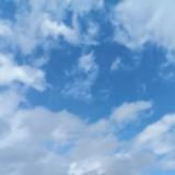 由 sky0369 (刊登 ID 1381615540，圖片 1) 提交，位於 的 (類別：)，說明：。