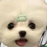 (分類:)位於 。 由 xinziii 提交(商品編號 1452052918,圖片 1)。簡介: 。