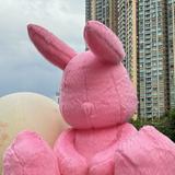 （分類：）位於 。 由 babysharklulu 提交（商品編號 1325397259，圖片 1）。簡介： 。