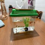 (Category: ) located in . Submitted by tang9966 (Listing ID 1458105224, Image 1). Description: .