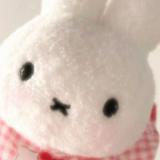 (分類:)位於 。 由 zzzz.xxxx 提交(商品編號 1415717398,圖片 1)。簡介: 。