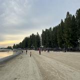 (Category: ) located in . Submitted by fairglt (Listing ID 1371421229, Image 1). Description: .