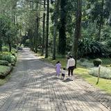 (Kategori: ) berada di . Dikirim oleh lovedbyanjanis (ID iklan 1339594119, Gambar 1). Deskripsi: .