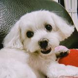 由 sunnyiiii (刊登 ID 1333533839，圖片 1) 提交，位於 的 (類別：)，說明：。