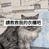 由 94mamandi (刊登 ID 1333812380，圖片 1) 提交，位於 的 (類別：)，說明：。