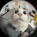 (Category: ) located in . Submitted by funkycloud (Listing ID 1370762144, Image 1). Description: .