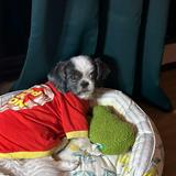 (Category: ) located in . Submitted by panotskie.02 (Listing ID 1360775387, Image 1). Description: .