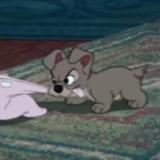 (Category: ) located in . Submitted by notzm (Listing ID 1277178463, Image 1). Description: .