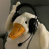 由 duck0919 (刊登 ID 1384396944，圖片 1) 提交，位於 的 (類別：)，說明：。