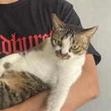 (Kategori: ) berada di . Dikirim oleh prelovedbykyds (ID iklan 1352101591, Gambar 1). Deskripsi: .