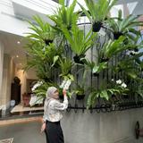 (Kategori: ) berada di . Dikirim oleh annisaaaaaaa (ID iklan 1335767475, Gambar 1). Deskripsi: .