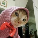 (Kategori: ) berada di . Dikirim oleh wnstoree (ID iklan 1362001548, Gambar 1). Deskripsi: .