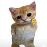 (Kategori: ) berada di . Dikirim oleh julidness (ID iklan 1342630783, Gambar 1). Deskripsi: .