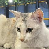 (Kategori: ) berada di . Dikirim oleh nbiila (ID iklan 1386579152, Gambar 1). Deskripsi: .