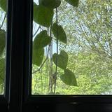(Category: ) located in . Submitted by qwerty_cjj (Listing ID 1368140395, Image 1). Description: .