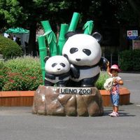 由 mingle030282863 (刊登 ID 1383986178，圖片 1) 提交，位於 的 (類別：)，說明：。