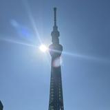 （分類：）位於 。 由 new_life_japan 提交（商品編號 1356519605，圖片 1）。簡介： 。
