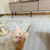(Category: ) located in . Submitted by iqmalhakeem (Listing ID 1365253473, Image 1). Description: .