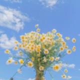 (Kategori: ) berada di . Dikirim oleh vriankaaaa (ID iklan 1344133244, Gambar 1). Deskripsi: .