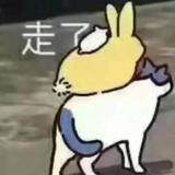 （分類：）位於 。 由 yann02130 提交（商品編號 1333008247，圖片 1）。簡介： 。