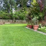 (Category: ) located in . Submitted by prettylandscapers (Listing ID 1342043720, Image 1). Description: .