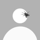 (Category: ) located in . Submitted by dhang1890 (Listing ID 1362219534, Image 1). Description: .