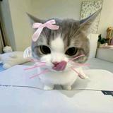 (Category: ) located in . Submitted by gigishops (Listing ID 1377475640, Image 1). Description: .