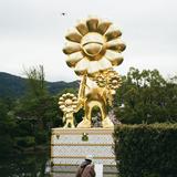 由 johnnyklp (刊登 ID 1382860990，圖片 1) 提交，位於 的 (類別：)，說明：。