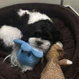(Category: ) located in . Submitted by secondtimecharm (Listing ID 1419994422, Image 1). Description: .