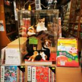 (Category: ) located in . Submitted by love_japan (Listing ID 1361894460, Image 1). Description: .