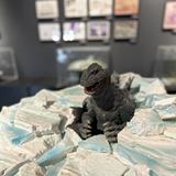 由 ac_godzilla (刊登 ID 1381037894，圖片 1) 提交，位於 的 (類別：)，說明：。