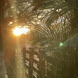 (Category: ) located in . Submitted by sunset_love (Listing ID 1442863616, Image 1). Description: .