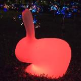 （分類：）位於 。 由 hungg_ 提交（商品編號 1379559449，圖片 1）。簡介： 。