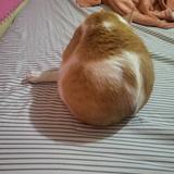 (Category: ) located in . Submitted by maea0981 (Listing ID 1360946707, Image 1). Description: .