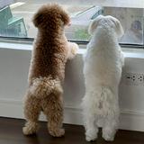 (Category: ) located in . Submitted by obikylo (Listing ID 1361720952, Image 1). Description: .