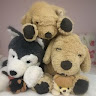 （分類：）位於 。 由 achelr2118517 提交（商品編號 1373616603，圖片 1）。簡介： 。