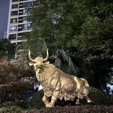 由 kk88179 (刊登 ID 1381740449，圖片 1) 提交，位於 的 (類別：)，說明：。