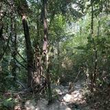 (Category: ) located in . Submitted by mampomam (Listing ID 1386091387, Image 1). Description: .