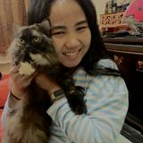 (Kategori: ) berada di . Dikirim oleh nindimay14 (ID iklan 1335499162, Gambar 1). Deskripsi: .