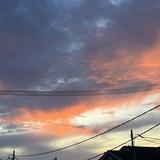 (Category: ) located in . Submitted by sellmythings00 (Listing ID 1343534559, Image 1). Description: .