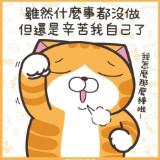 由 skye911 (刊登 ID 1382801570，圖片 1) 提交，位於 的 (類別：)，說明：。